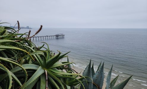 Martin Johnson House