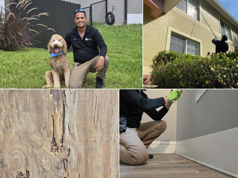 Panda Pest Control, LLC