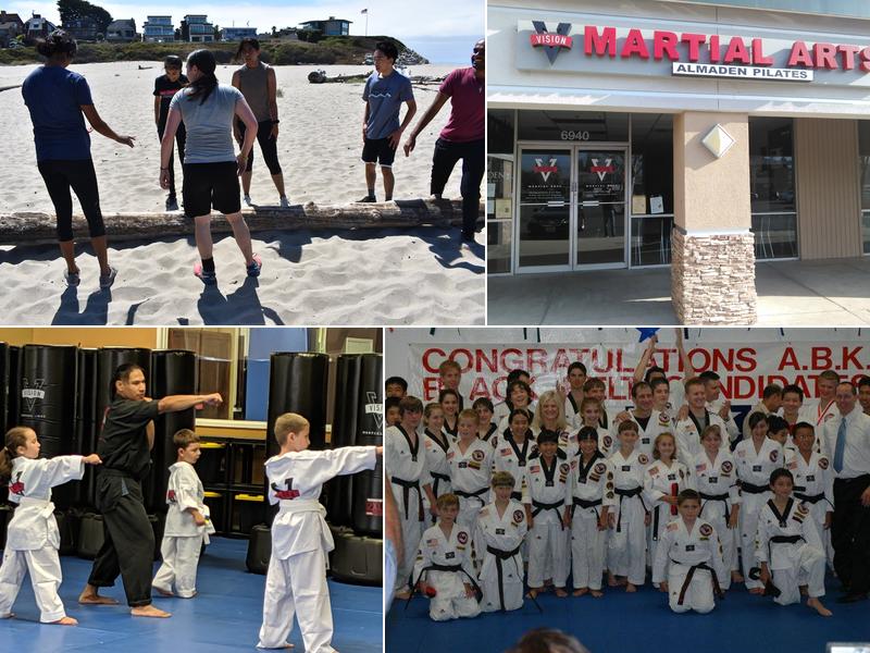 Vision Martial Arts - Almaden