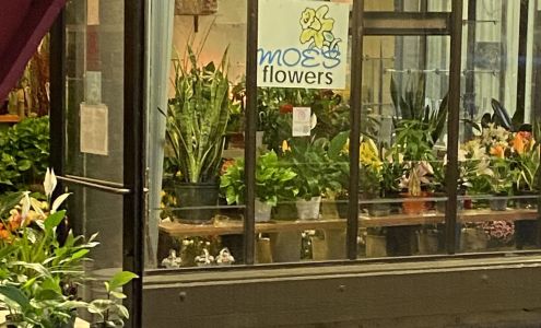 Moe’s Flowers