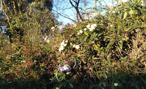 Riverside Elementary School