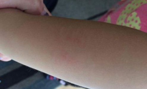 Jack & Jill's Early Child Development Center