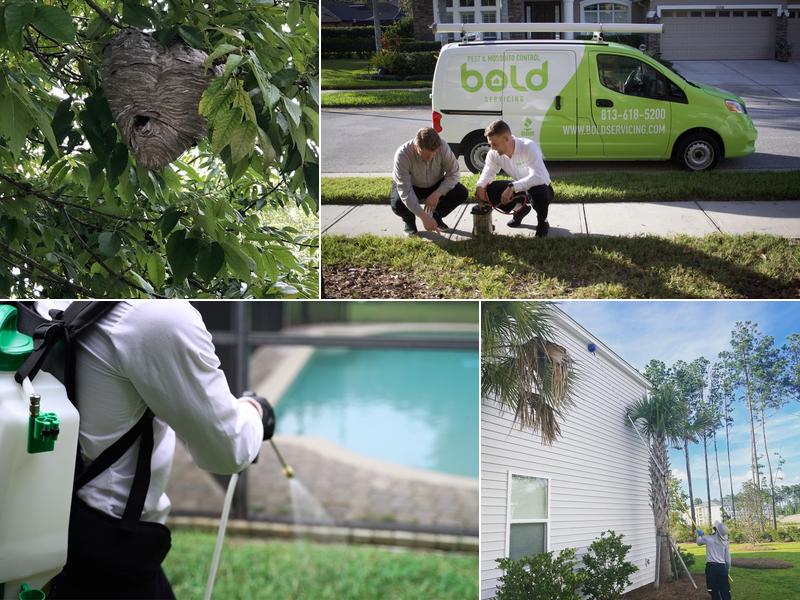 Bold Servicing - South Carolina