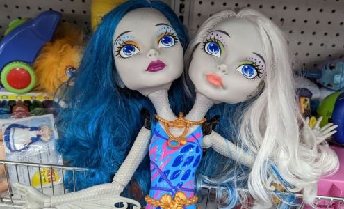 Goodwill Sacramento Valley & Northern Nevada