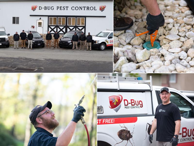D-Bug Pest Control, Inc.