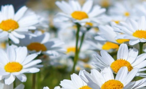 Dr. Mary Diehn 9 Schilling Rd Suite 102, Hunt Valley Maryland 21031