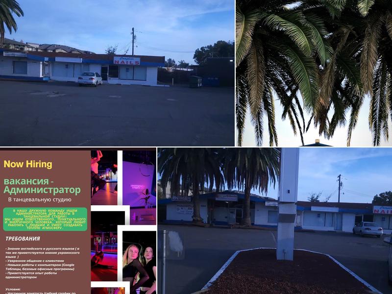 Albedo Arts Community