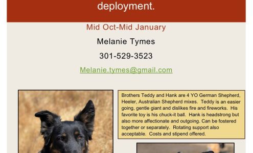 Performance Dogs In Action 7089 Pleasant Grove Rd, Pleasant Grove California 95668