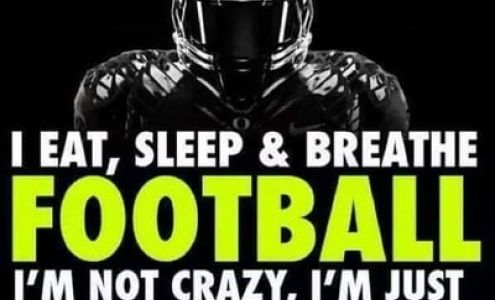 Train 'Em Up Academy Inc.