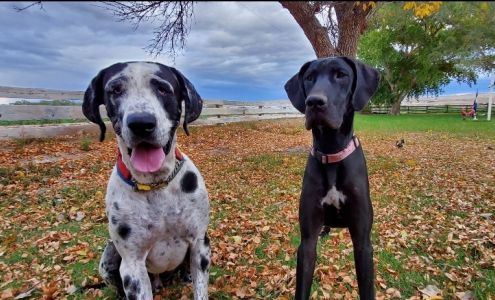 UHC's River Walk Boarding Kennel