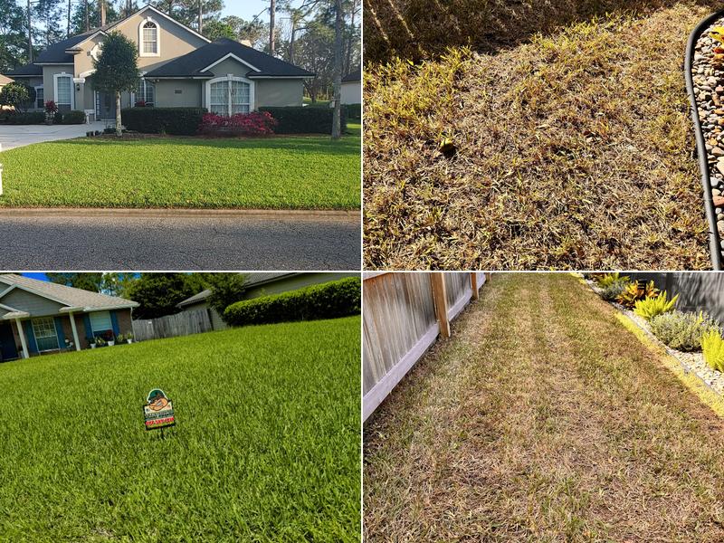 Turf Squad Lawn & Pest Protection