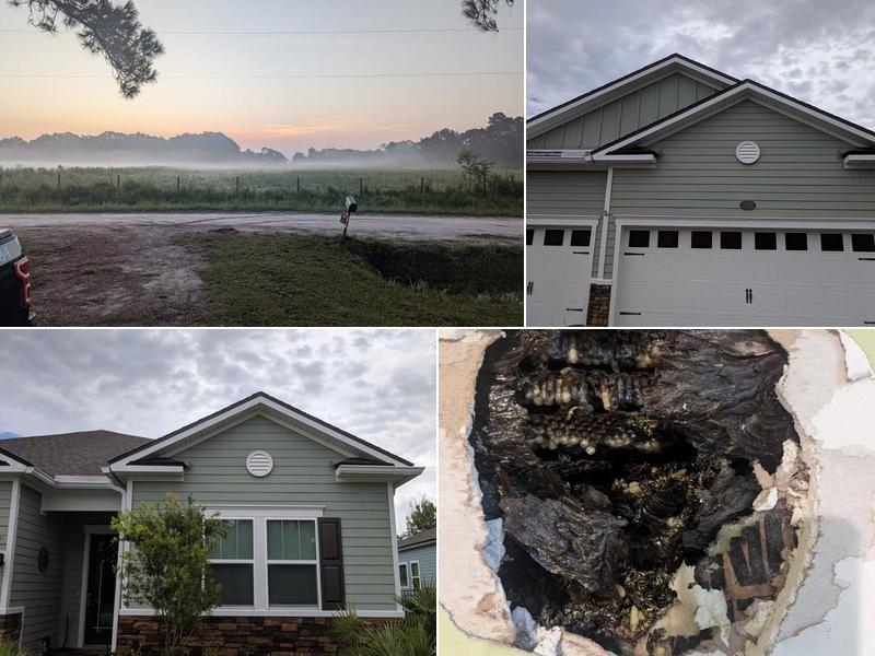 Anchor Services Termite & Pest Control