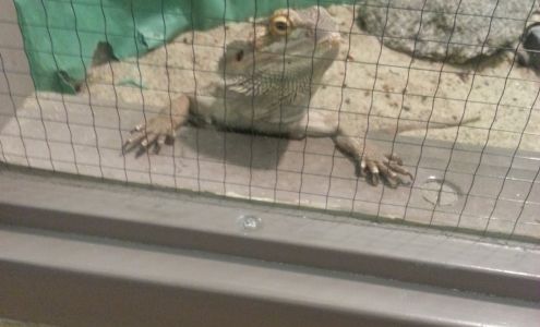 California Ivy League Preparatory Academy Preschool & Infant Center