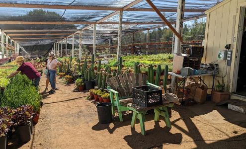 Mariscal Cactus & Succulents, Inc.