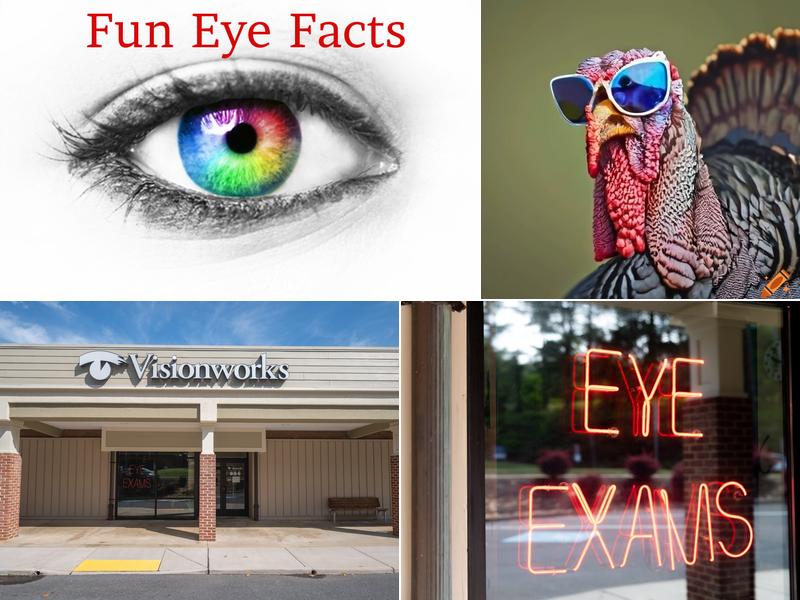 Dr. Stephen Basic, Optometrist