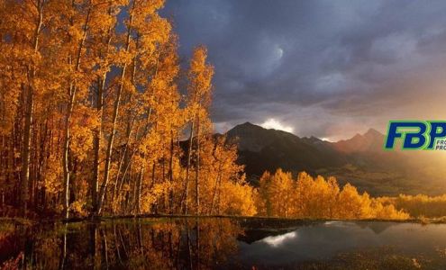 Frontier Business Products Managed IT Services Fort Collins