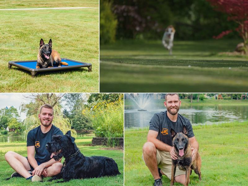 Stayyy.com: Dog Training in Naperville