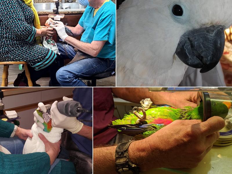 Scott E. McDonald, DVM