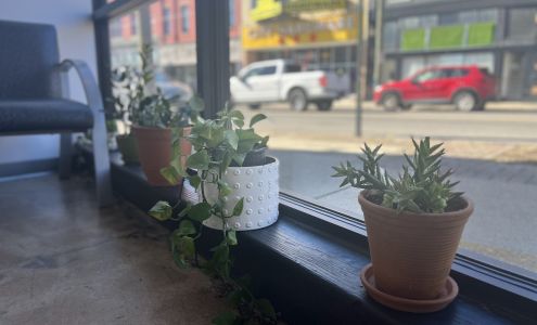 Dandelion Health - Direct Primary Care