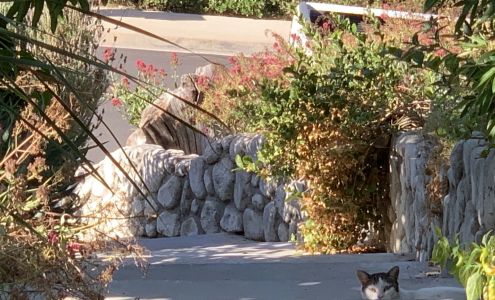 The Growing Home and Learning Center