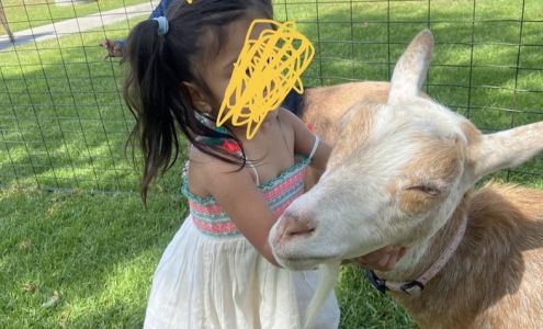 Kid's Kastle Pre School-Day Care