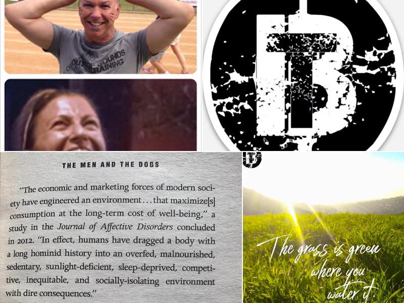 Out of Bounds Training