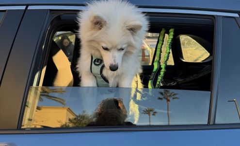 Newport North Cleaners