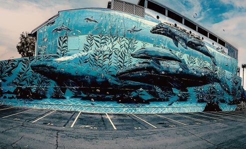 Wyland Galleries LLC