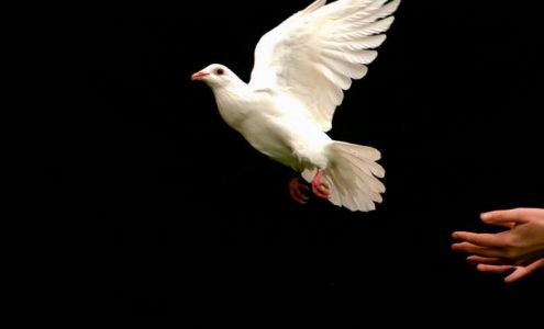 Mile High Funeral & Cremation Services