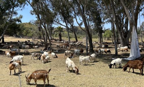 Cuyamaca College Bookstore