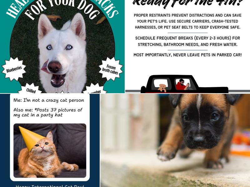 Hayward Animal Clinic