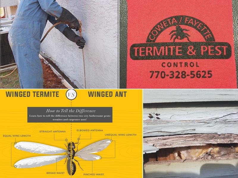 Coweta / Fayette Termite Pest Control & Wildlife