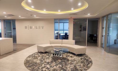 B. Riley Advisory Services