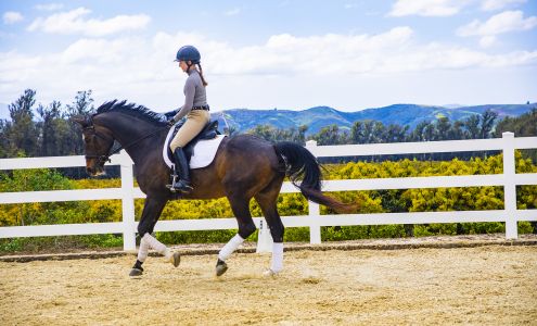 Kaitlyn Hennessy Dressage 1451 E La Loma Ave, Somis California 93066