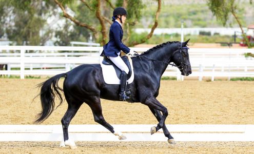 Courtship Ranch Lake View Terrace