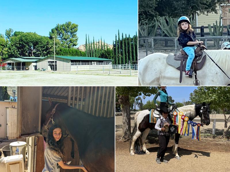 Breezy Meadow Stables