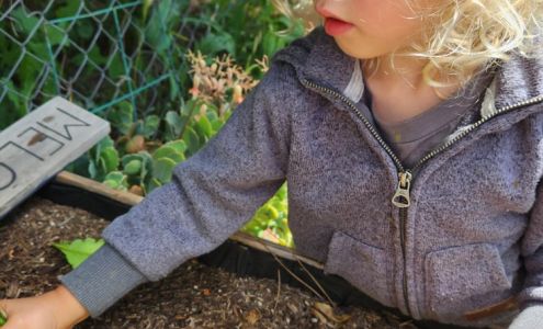 The Language Grove Community Preschool