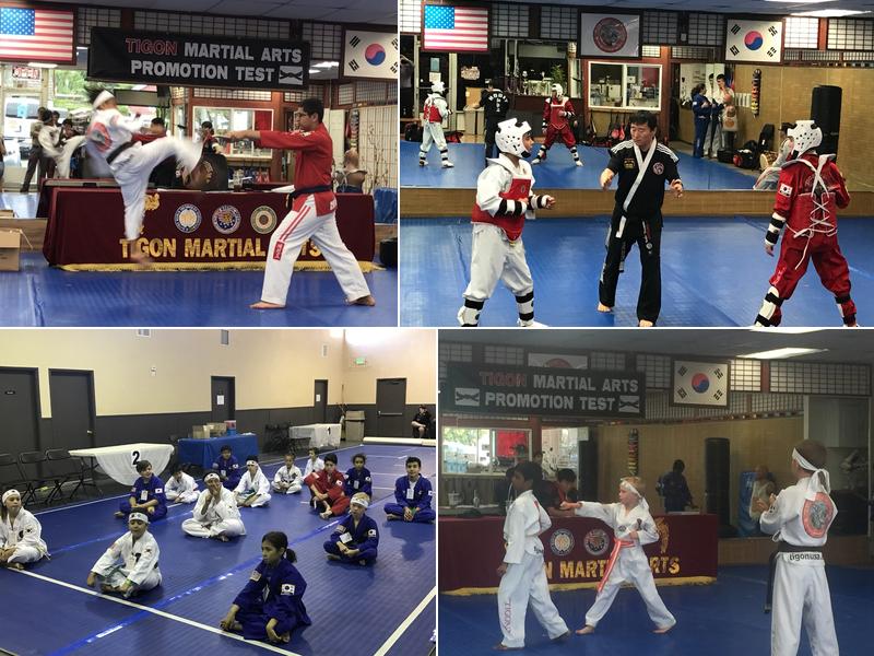 Tigon Martial Arts Inc