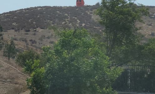 NON-Sheep Firearms NON-Sheep Firearms