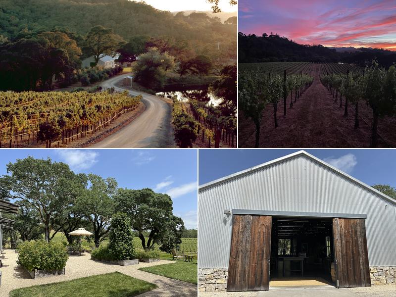 Medlock Ames Winery at Bell Mountain Ranch