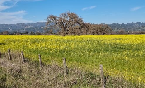 Sonoma County Alano Club