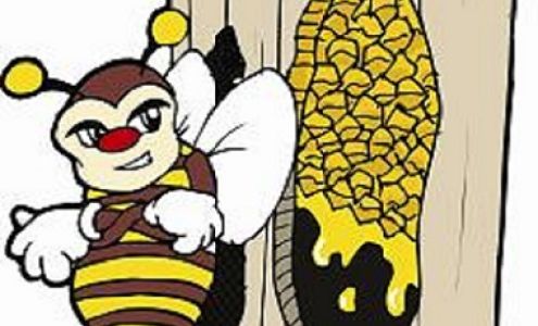 Beehive Removal and Repair LLC