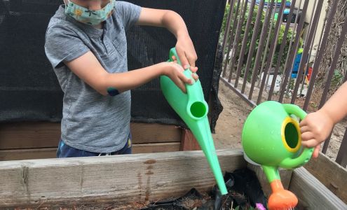 Stars Montessori Academy