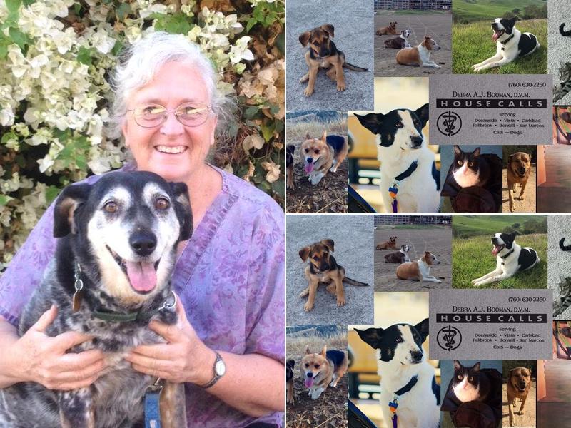 Booman Debra a DVM