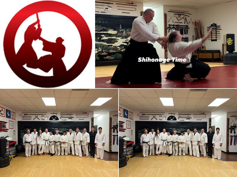 PRO SESSIONS AIKIDO