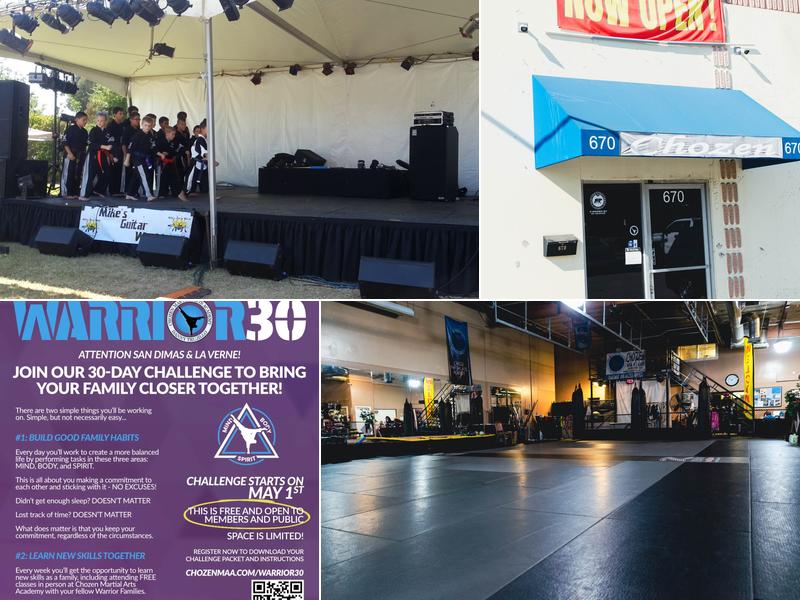 Chozen Martial Arts Academy