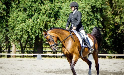 Pacific Equestrian Center Wilton