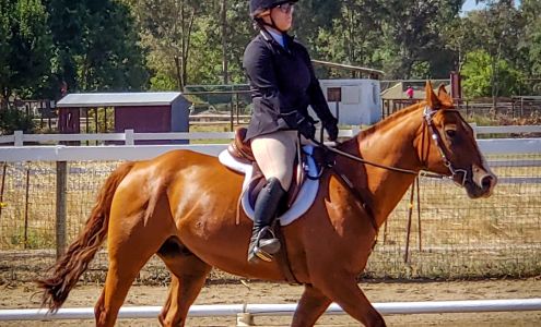 English Rose Farm Wilton