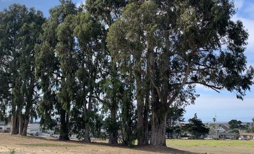 Del Rey Woods Elementary School