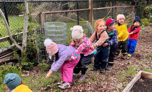 Country Day Little School